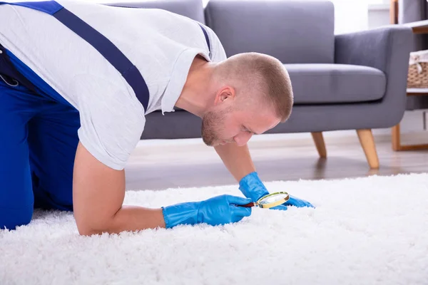 Deep Carpet Cleaning in Rockville Centre