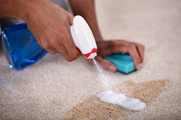 Pet Stain & Odor Removal in Rockville Centre